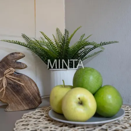 Cute Little Flat Near Kazinczy Downtown Lejlighed *